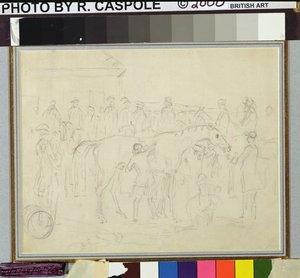 Rubbing down a horse in a paddock at a racetrack